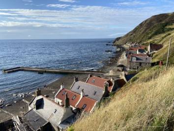 Crovie